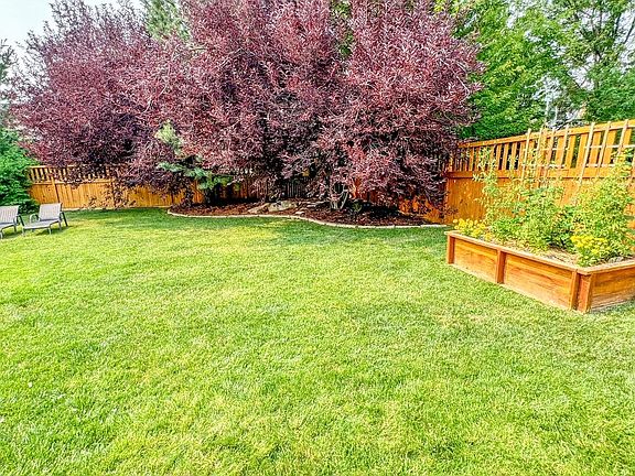 Backyard and garden box