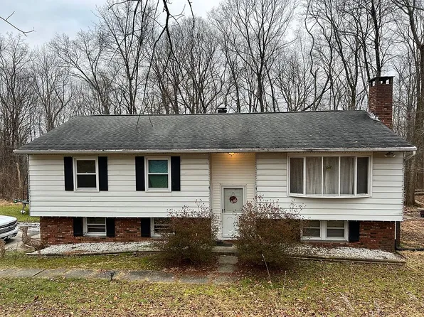 1228 Mountain Rd, Pt Jervis, NY 12771