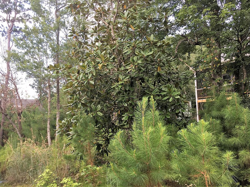 1st image of L-23 NE 55th Street