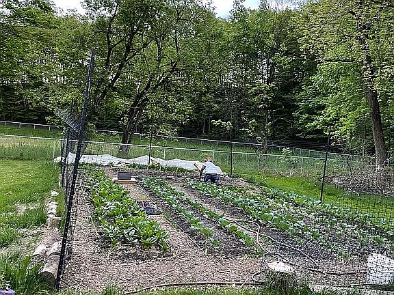 Incredible abundant garden