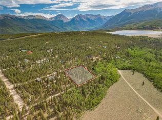 549 Lodgepole Dr, Leadville, CO 80461