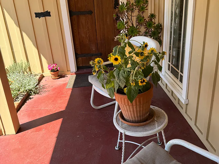 1292A Glenn St — Photo 3