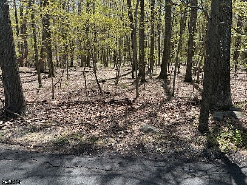 2nd image of 61 Quenby Mountain Rd