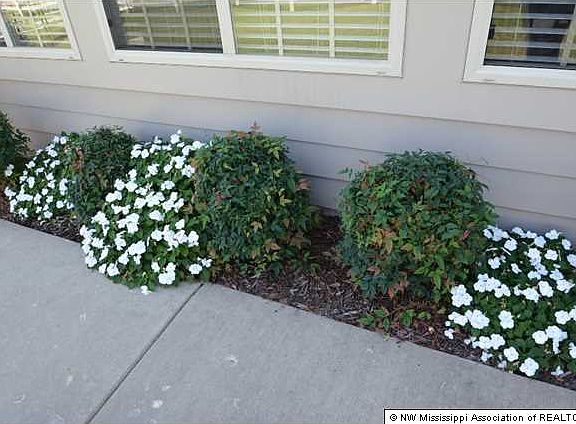3rd image of 8812 Parkview Oaks Cir #38