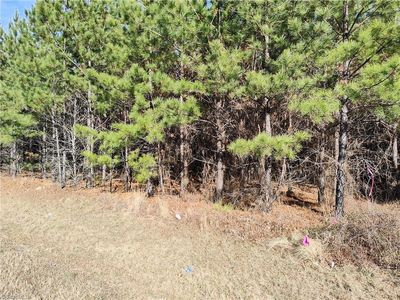 LOT 7 Windblow Rd, Jackson Springs, NC, 27281