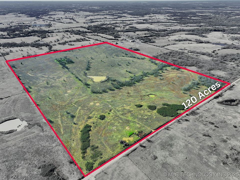 1st image of Chicken Fight Rd