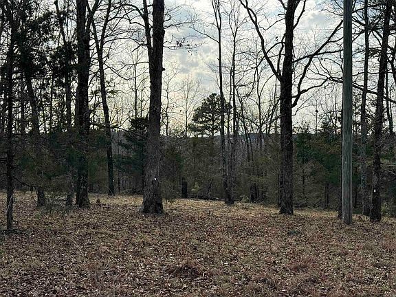 4th image of (Undisclosed Address)