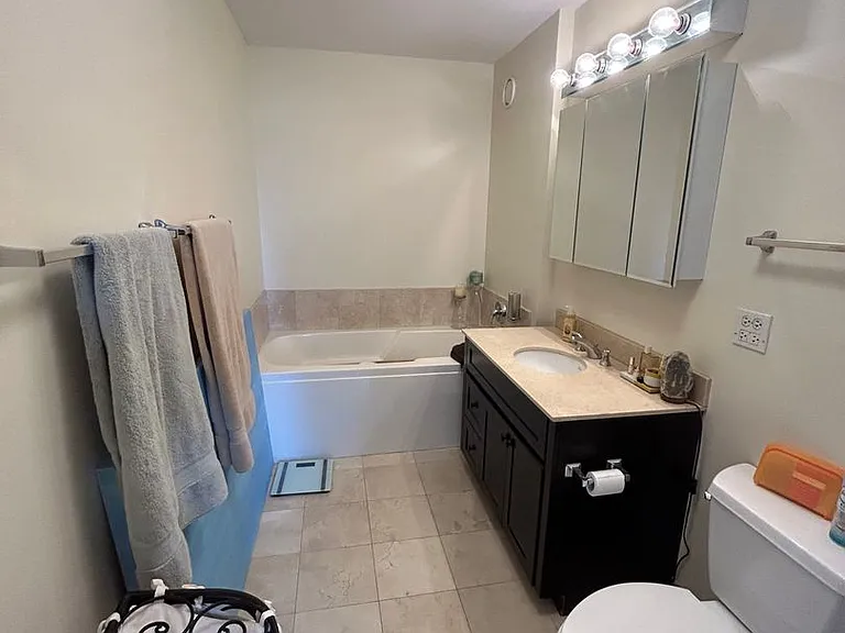 330 W Grand Ave #1701 — Photo 9
