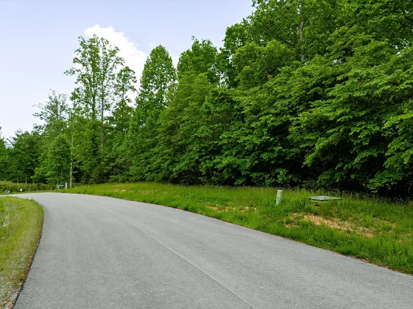 240 Tanzanite Trl, New Tazewell, TN 37825