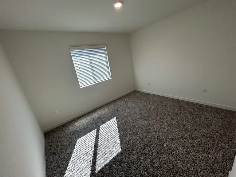 805 Congaree Ln — Photo 29