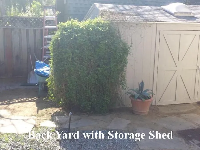 257 Mountain View Ave #B — Photo 10