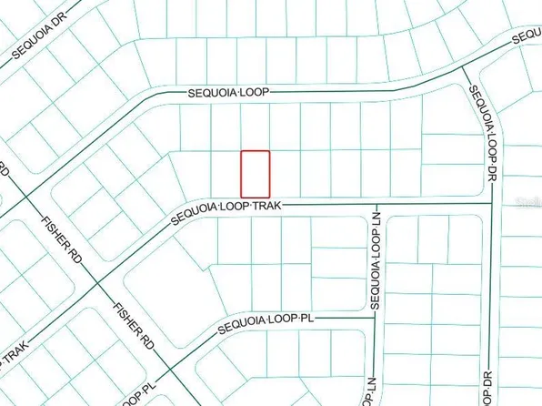 Sequoia Loop Trak Lot 5, Ocklawaha, FL 32179