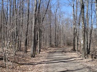 699 Franskevicz Rd, Hancock, NY 13783