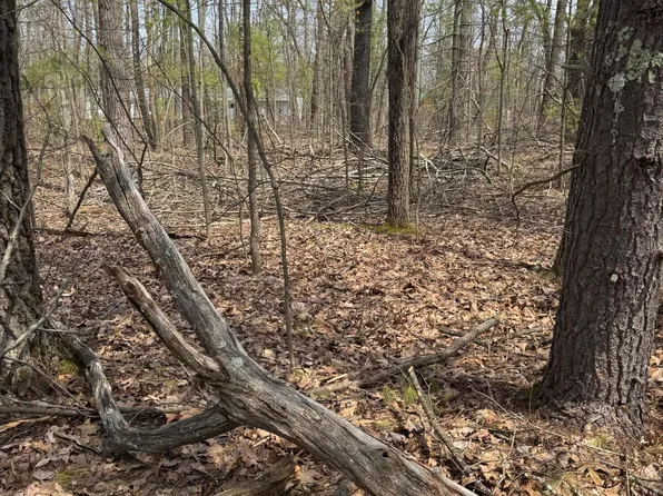 LOT 4 Birch St, Lewiston, MI 49756