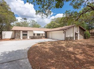 16551 Fringe Tree Dr, Spring Hill, FL 34610