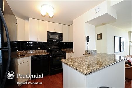 3rd image of 3200 N Lake Shore Dr APT 2502