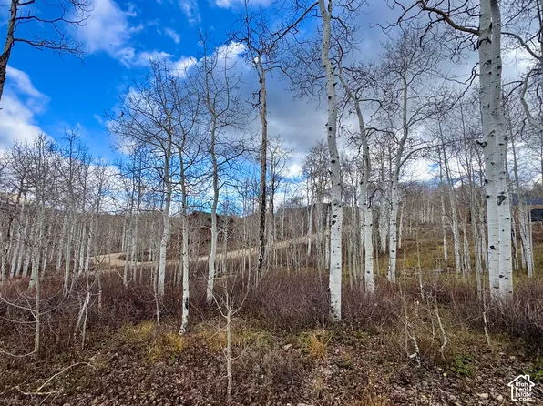 11616 E Cliffrose Dr, Heber, UT 84032