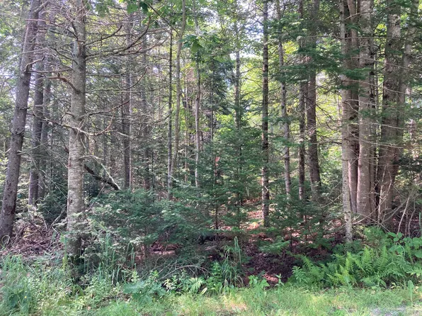 61 Aquarius Lane, Ellsworth, ME 04605