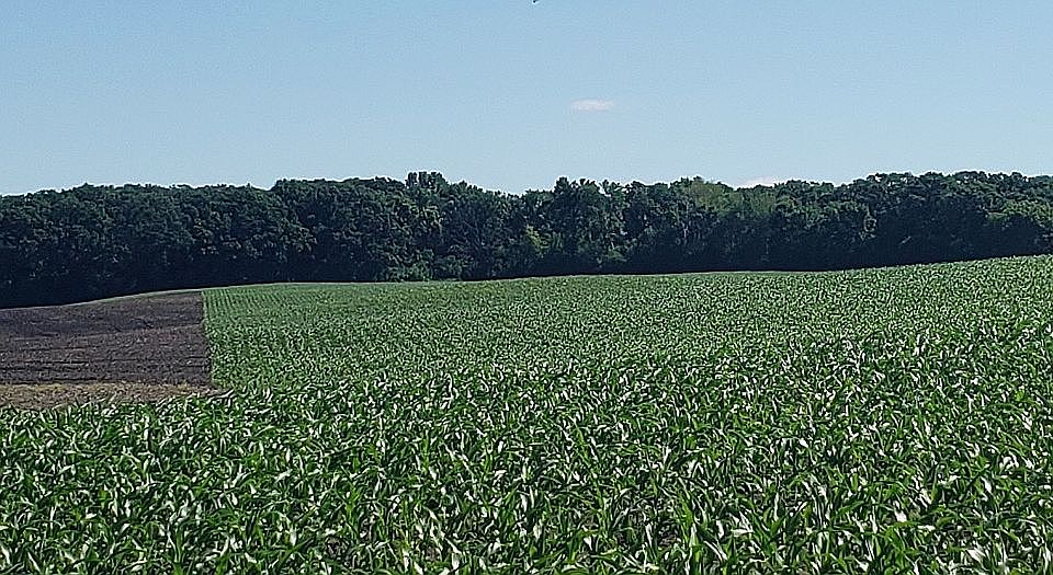 Productive crop and hunting 