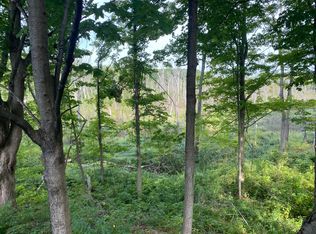 Peach Creek Ct, Fennville, MI 49408