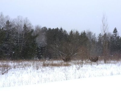 Wildcat Ct, Alpena, MI, 49707