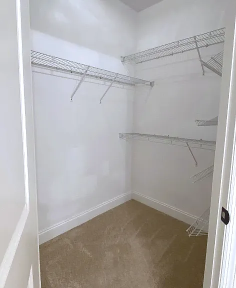 Master walk-in closet