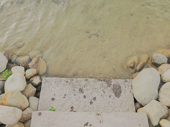 3rd image of 218 Steves Scenic Dr