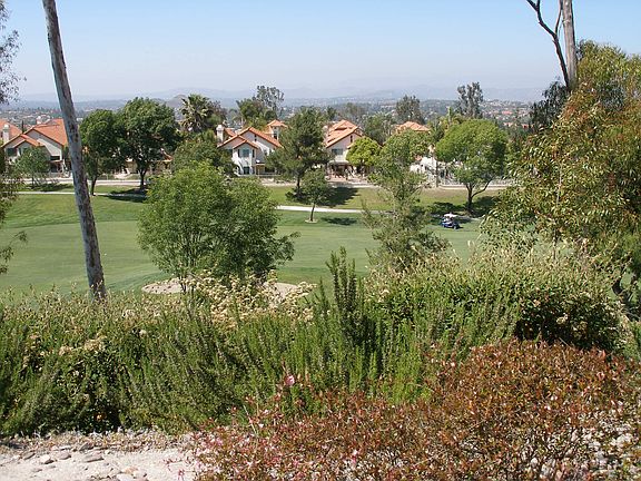 Backyard View