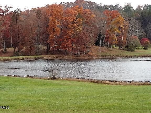 3rd image of York Ln