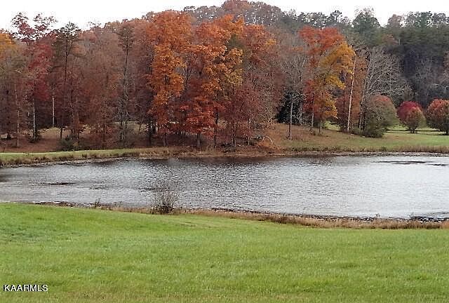 1st image of York Ln