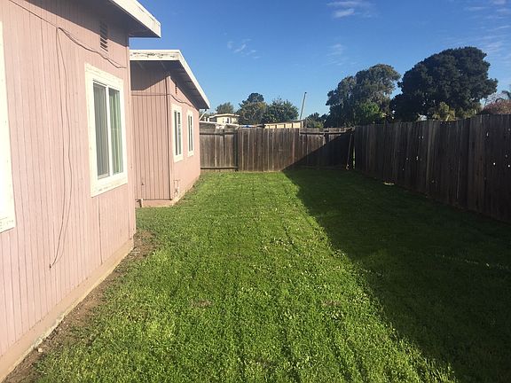 Another back yard view