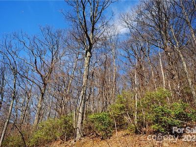 35 Wedgewood Ter #1104, Black Mountain, NC, 28711