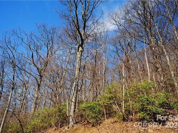 35 Wedgewood Ter #1104, Black Mountain, NC 28711