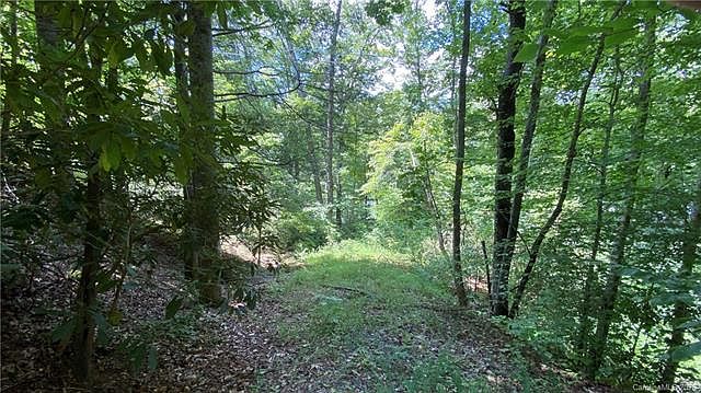 2nd image of 1733 Buffalo Creek Rd #13/14