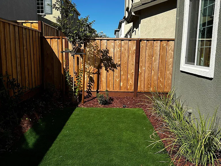 Landscaped backyard with turf