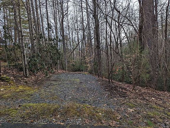 3rd image of Caroline Ln
