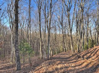 L-132 Laurel Xing, Blue Ridge, GA 30513