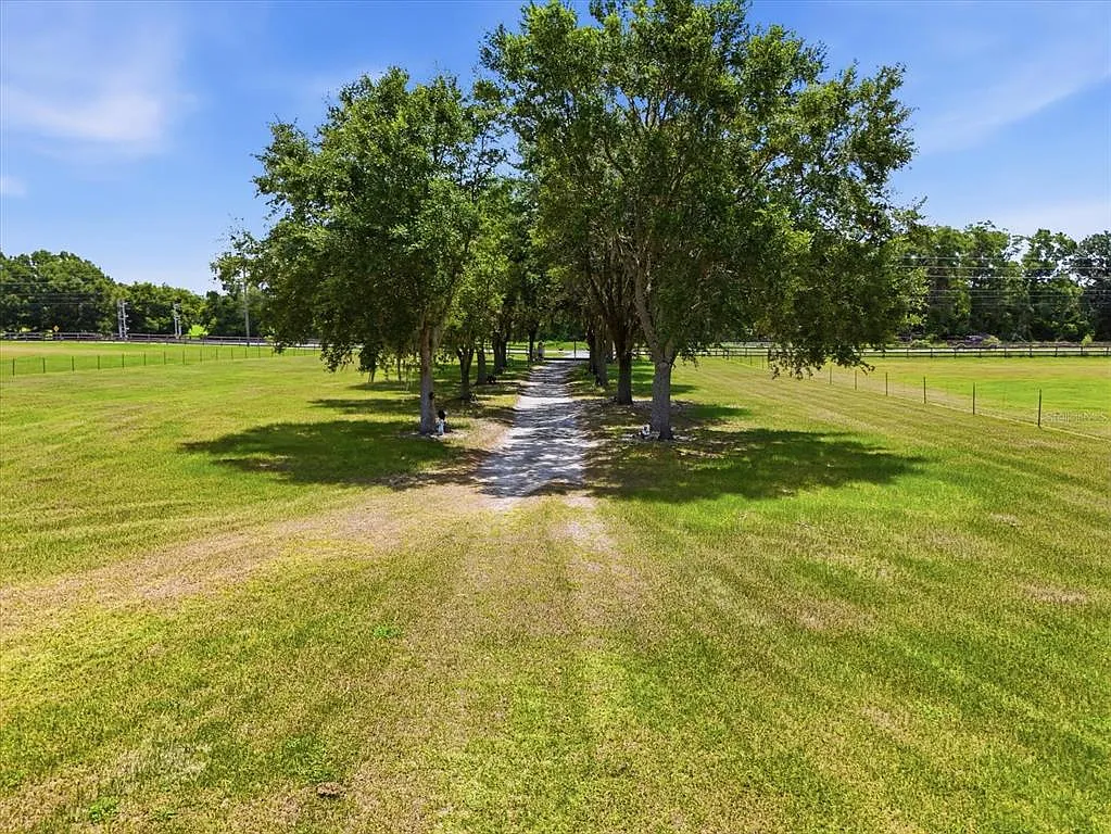 1 bed, 1.0 bath, 900 sqft, $1,300 — Photo 3