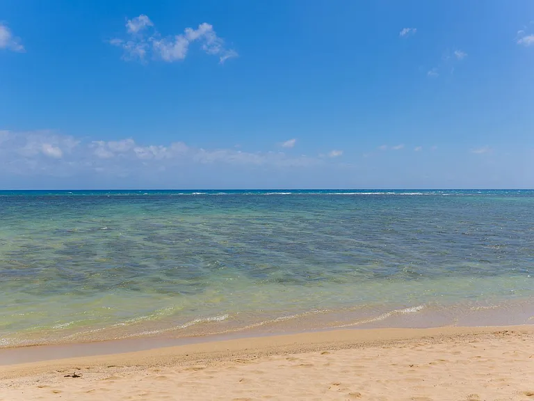 4715B Kahala Ave — Photo 18