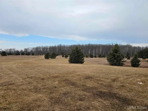 W6738 Turner Rd, Channing, MI 49815