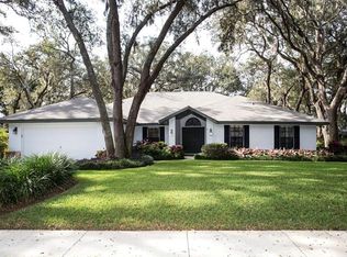 2729 Saint Cloud Oaks Dr, Valrico, FL 33594