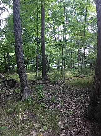 2nd image of 680 Warren Rd