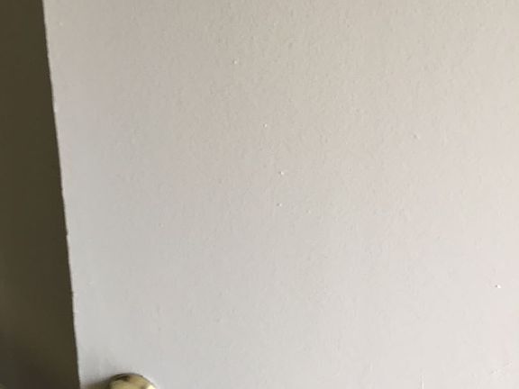 large (33)