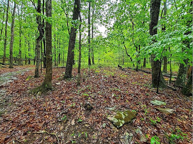 1st image of 2.74 Pughsville