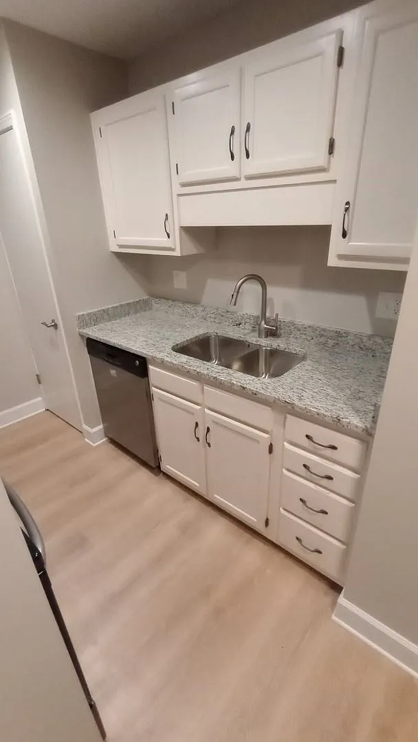 Remodeled 1 Bed 1 bath Condo Near Campus — Photo 4