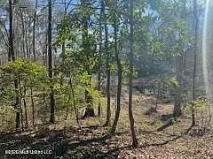 1st image of Turkey Creek Rd