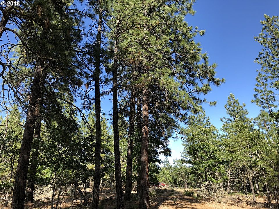 1st image of Piney Woods #2A