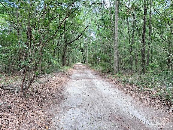 2nd image of 8345 Hickory Hammock Rd