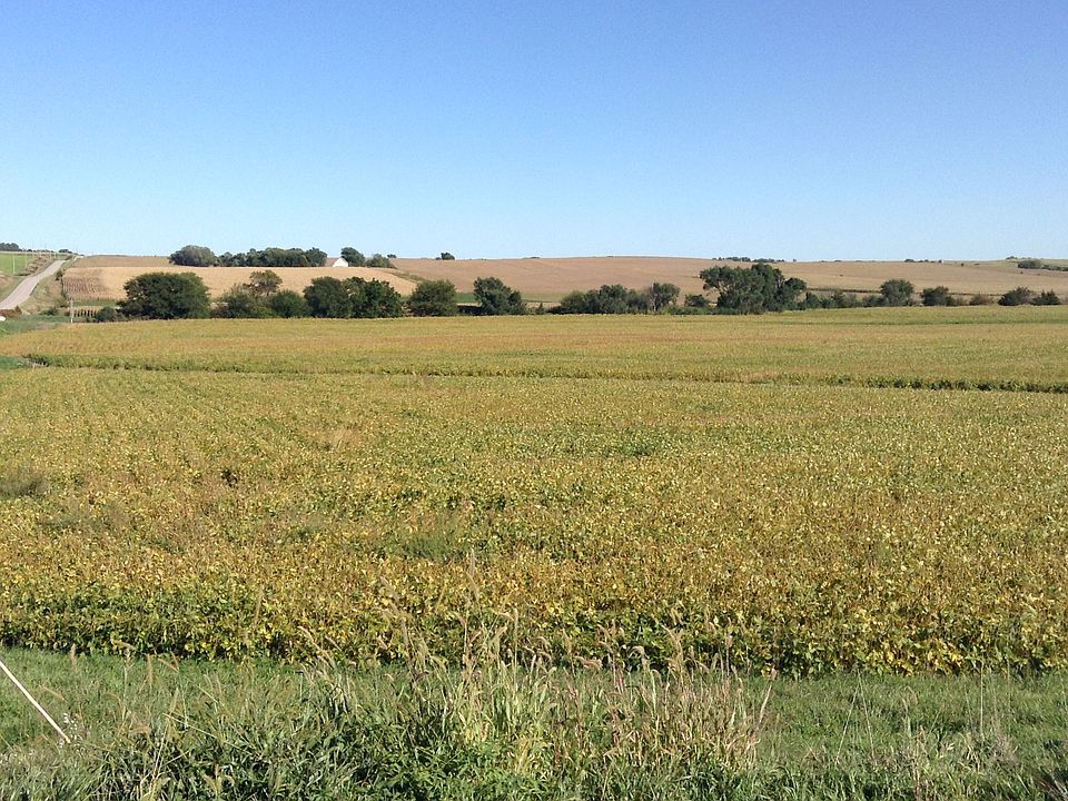 2nd image of 3482 Road W