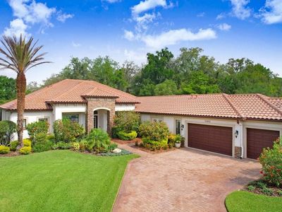 14910 Tom Fazio Ct, Tampa, FL, 33626